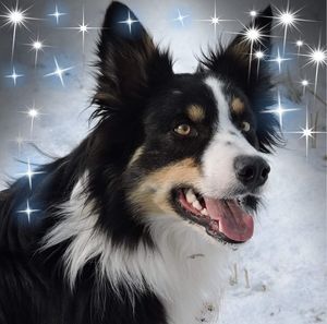 Meet your Posher, Diane